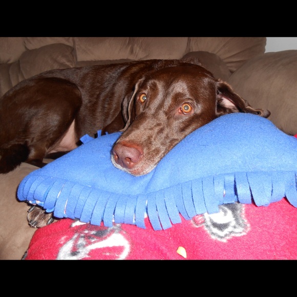 Meet your Posher, Jennifer - Picture 2 of 4